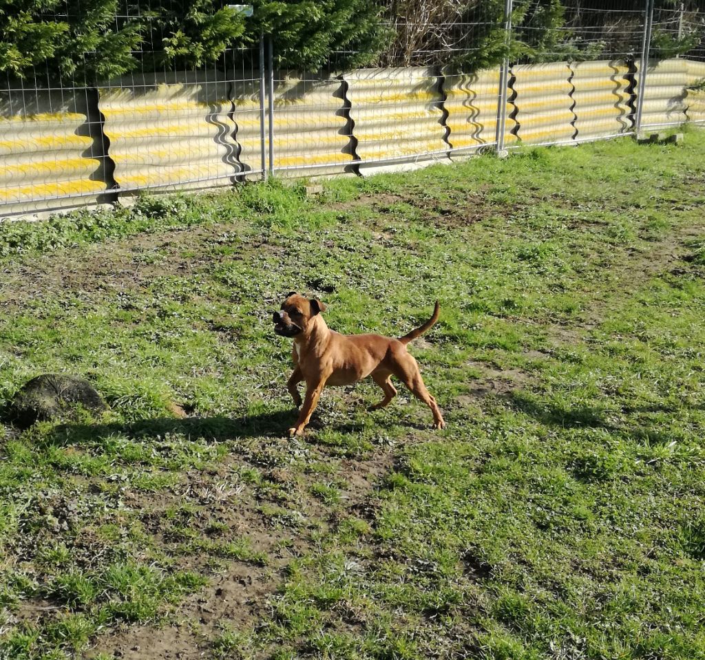 Molly Des têtes brulées